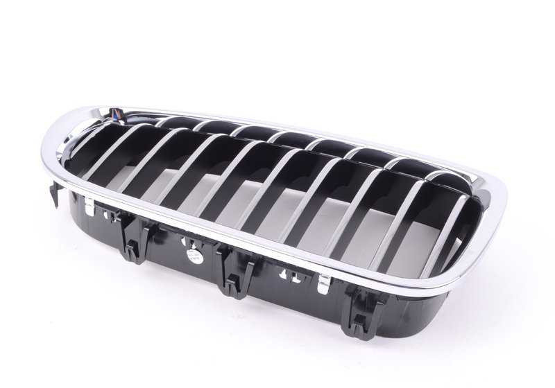 Right front decorative grid 51137412324 for BMW F10N, F11N, F18N. Original BMW.