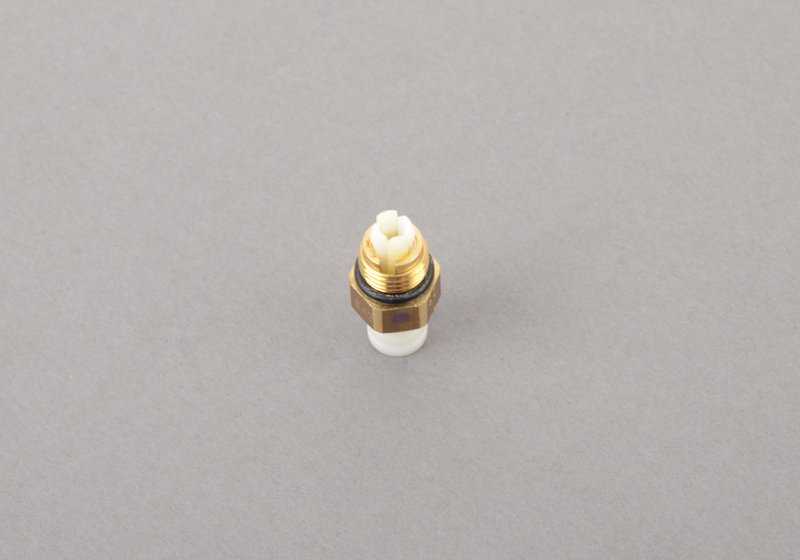 Conector roscado (D=6MM) OEM 37226754370 para BMW X5 E53 3.0d y 3.0i (modelos entre 2001 y 2006). Compatible con suspensión neumática. Original BMW.