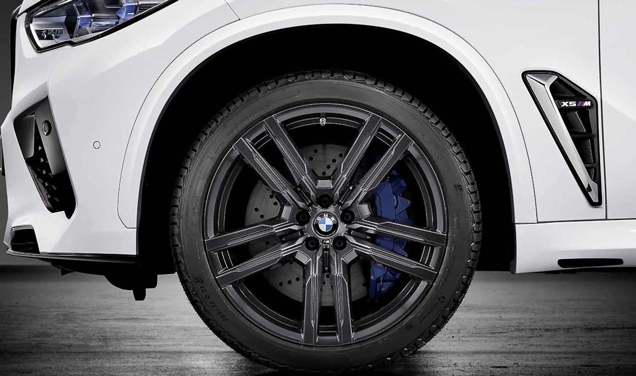 Rueda completa de invierno 21" estilo M Doble radio 808 con neumático Michelin Pilot Alpin 5 SUV para BMW X5 (F95) y BMW X6 (F96). OEM 36115A819D7. Original BMW.