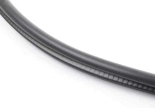 Protector de puerta delantero OEM 51727396554 para BMW F25. Original BMW.