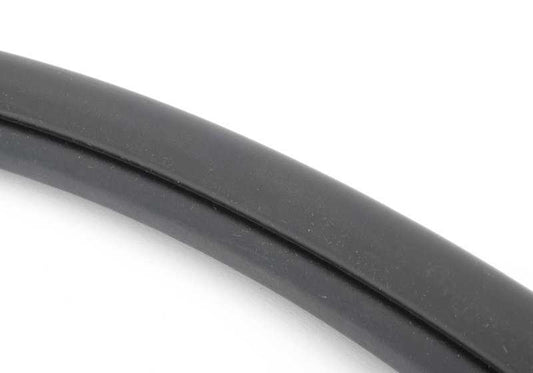 Protector de puerta delantero OEM 51727396554 para BMW F25. Original BMW.