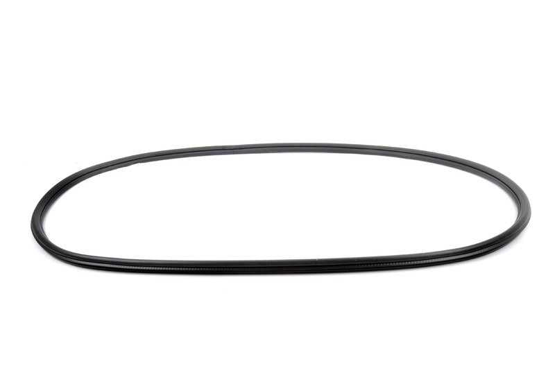 OEM 51727396554 front door protector for BMW F25. Original BMW.