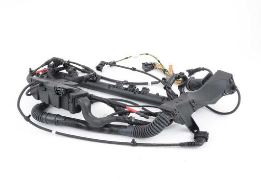 Fiação do motor para BMW Série 3 E46 (OEM 12517836015). BMW original