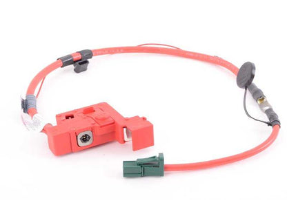 Cabo de bateria positivo para BMW Z4 E89 (OEM 61129165850). BMW original.