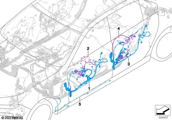 Mazo de cables revestidos puerta lado acompañante OEM 61125A65679 para BMW Serie 7 G70 (2022-2029). Original BMW.