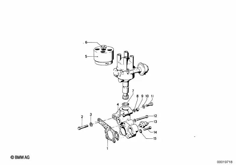 Anel de vedação para BMW Série 3 E21 E30, Série 5 E12 E28, Série 6 E24, Série 7 E23 (OEM 12118530508). BMW originais.