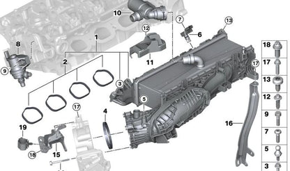 Junta de admisión OEM 13548632344 para BMW F20, F21, F22, F23, G42, G87, F30, F31, F34, F35, G20, G21, G28, G80, F32, F33, F36, G22, G23, G26, G82, G83, G30, G31, G38, G60, G61, G68, G32, G11, G12, G70, G14, G15, G16, F97, G01, G08, G45, F98, G02, G