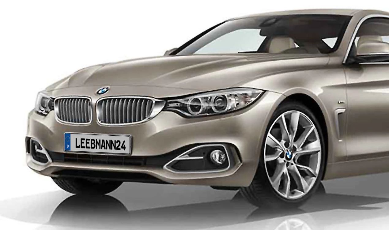 Decorative grille OEM 51137294820 for BMW 4 Series F32, F33, F36. Original BMW.