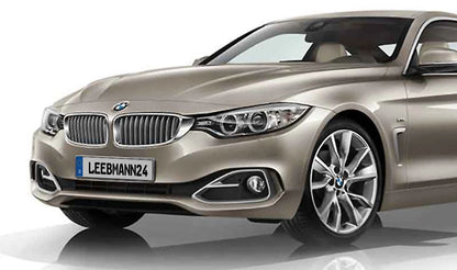 Decorative grille OEM 51137294820 for BMW 4 Series F32, F33, F36. Original BMW.