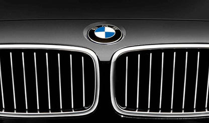 Rejilla decorativa OEM 51137263481 para BMW Serie 3 F30, F31, F35. Original BMW.