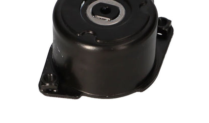 Tensor de correa OEM 11287786880 para BMW E46, E90, E90N, E91, E91N, E92, E92N, E60, E60N, E61, E61N, E63N, E64N, E65, E66, E83, E83N, E53. Original BMW.