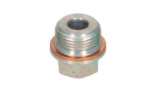 Tornillo de cierre con anillo obturador OEM 11317562528 para MINI R50, R52, R53. Original MINI.