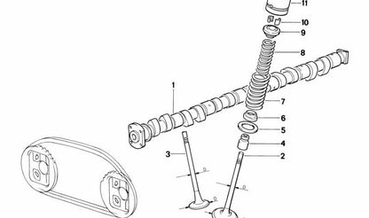 Resorte de válvula para BMW E36, E34 (OEM 11341726473). Original BMW
