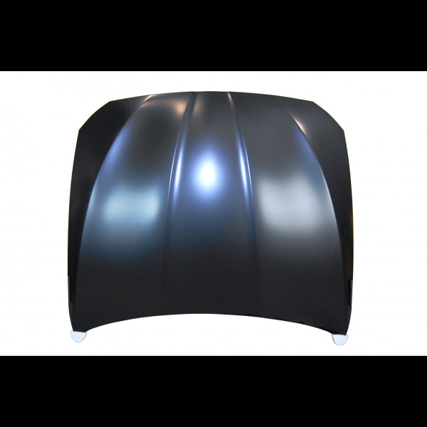 BMW F10 / F11 10-16 Aluminum Hood With Socket