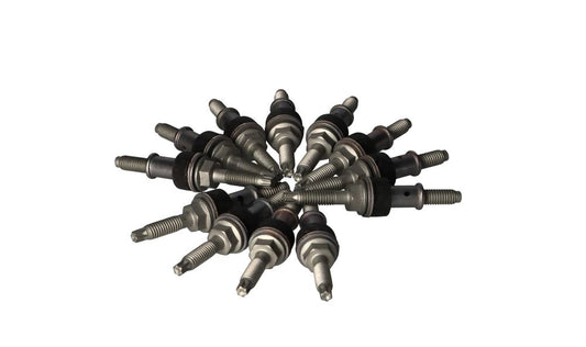OEM Interior Fixing -Kit 11120036237 für BMW (Kompatible Modelle: E46, E90, E91, E92, E93, E39, E60, E61, E63, E64, E38, E65, E66, E83, E53, E70, E70, E70, E70, E70, E71). Original BMW.