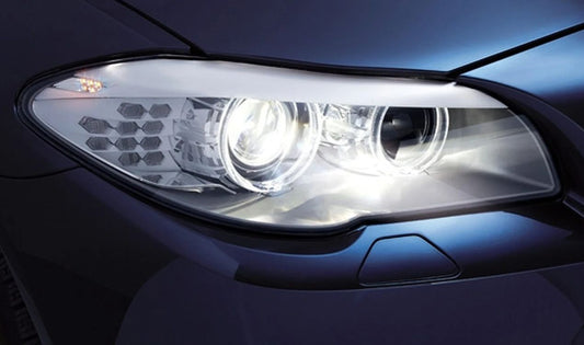 Lampade Xenon blu D1S per BMW Serie 1 E81, E82, E87, E88, F20, F21, Serie 2 F22, F23, Serie 3 E90, E91, E92, E93, F30, F31, F34, F35, F80, Serie 4 F32, F33, F36, F82, F83, Serie 5 E60, E61, F07, F10, F11, F18, Serie 6 E63, E64, F06, F12, F13, Serie 7