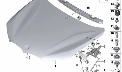 Resorte de gas para la tapa delantera para BMW F48, F49 (OEM 51237329410). Original BMW