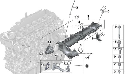 Junta tórica OEM 11618512504 para BMW F30, F31, F34, F32, F33, F36, F07, F10, F11, G30, G31, F06, F12, F13, F01, F02, G11, G12, F25, F26, F15, G05, F16, G06, G07. Original BMW.