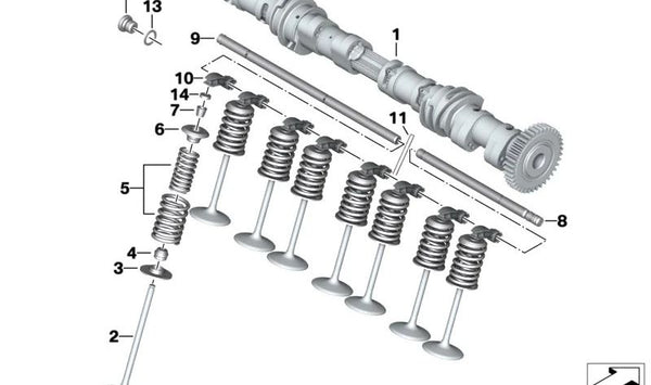 Árbol de levas de admisión OEM 11311641059 para motos BMW M 1000 RR (K66) 2020-2025. Original BMW Motorrad.