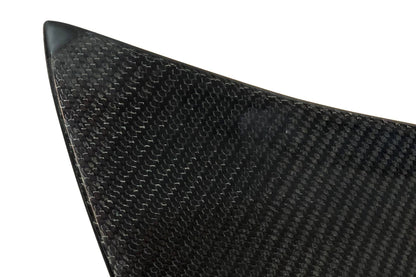 Portón Carbono BMW E46 99-05 2P/ E46 Look M3 CSL